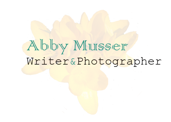 Abby Musser