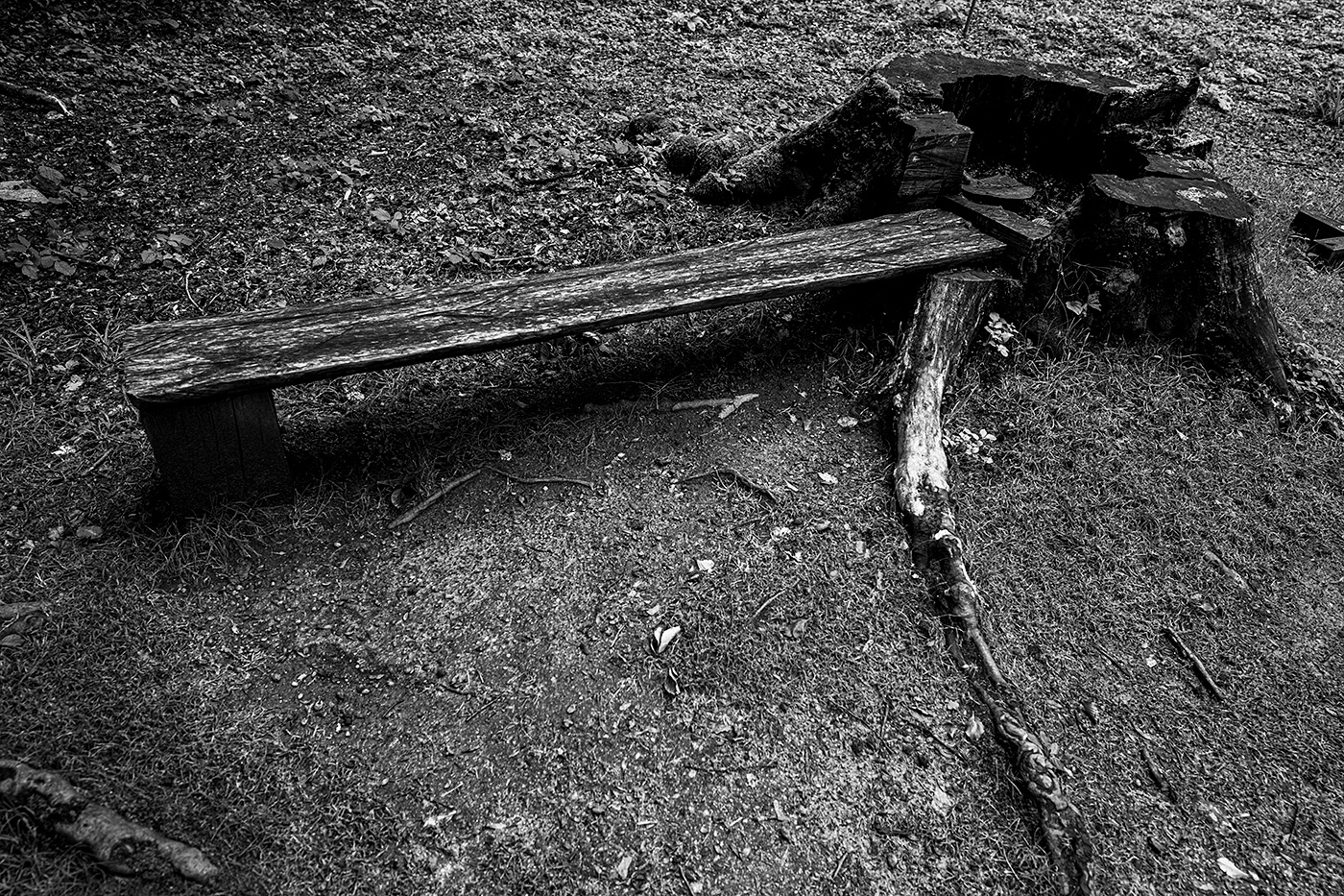 A black and white photo of a bench built onto a tree stump