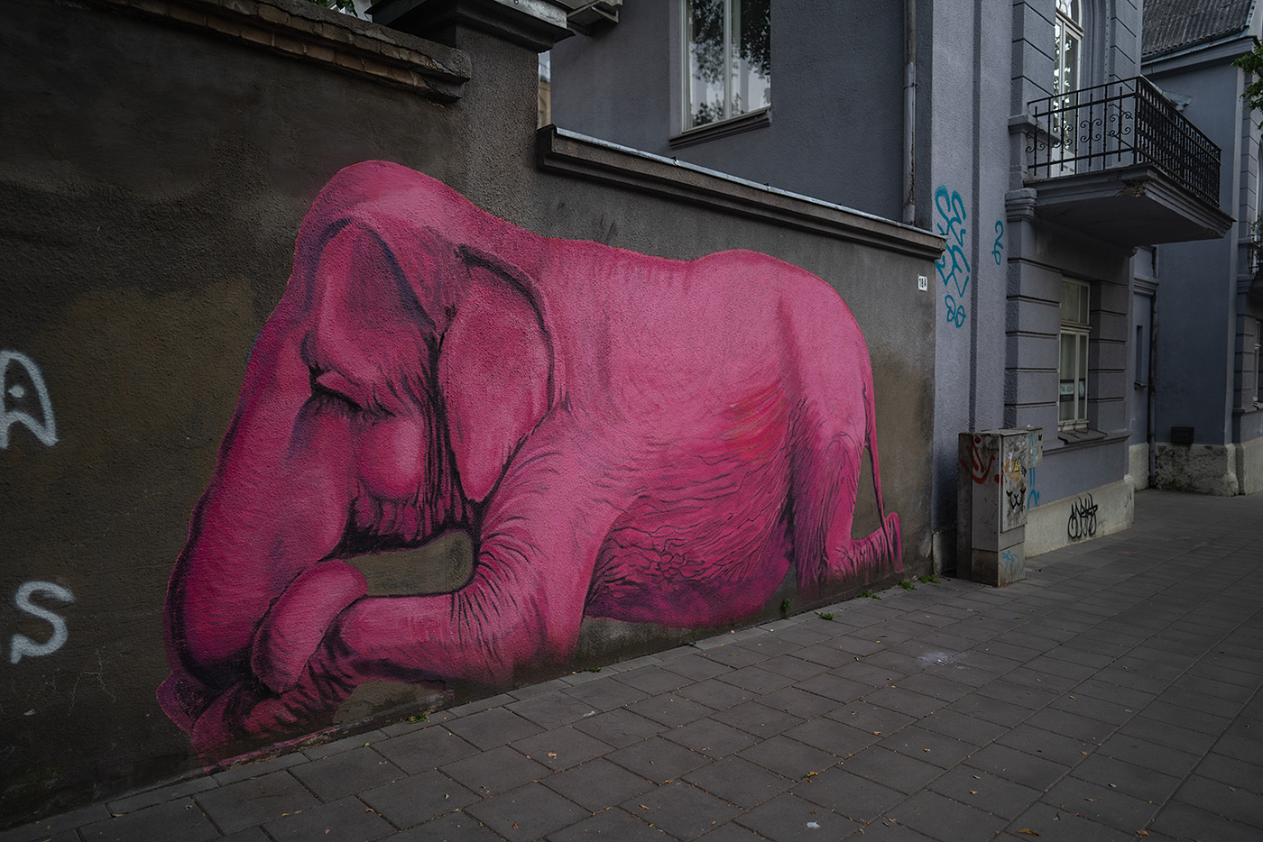 A mural of a pink elephant lying along a wall