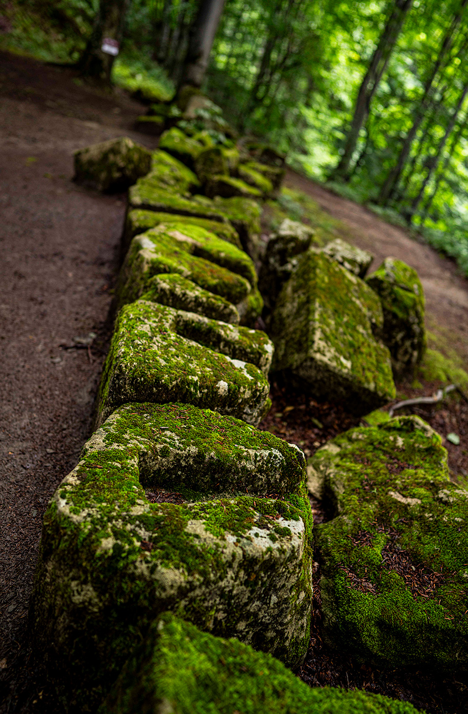 A close up photo of some large moss covered stones