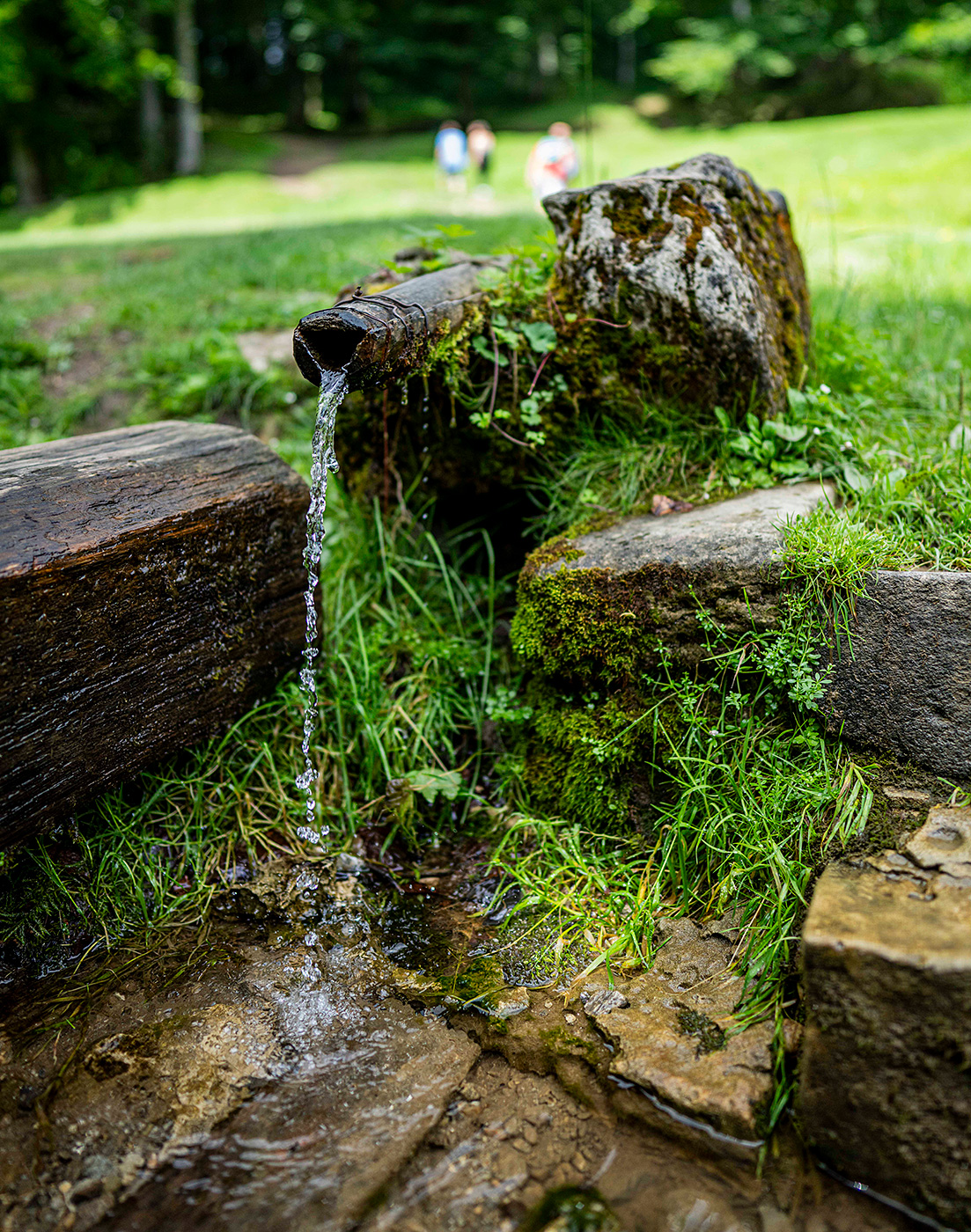 A photo of spring water coming out of a pipe