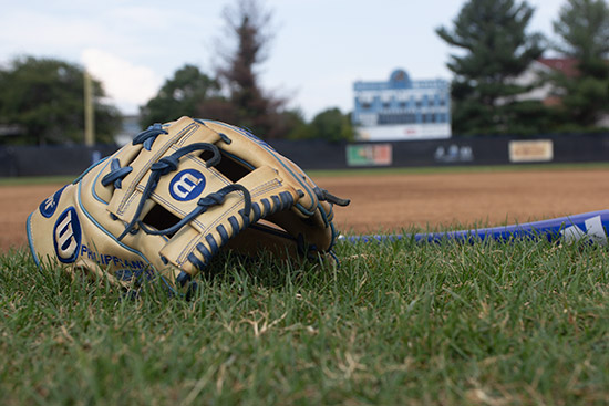 glove and field