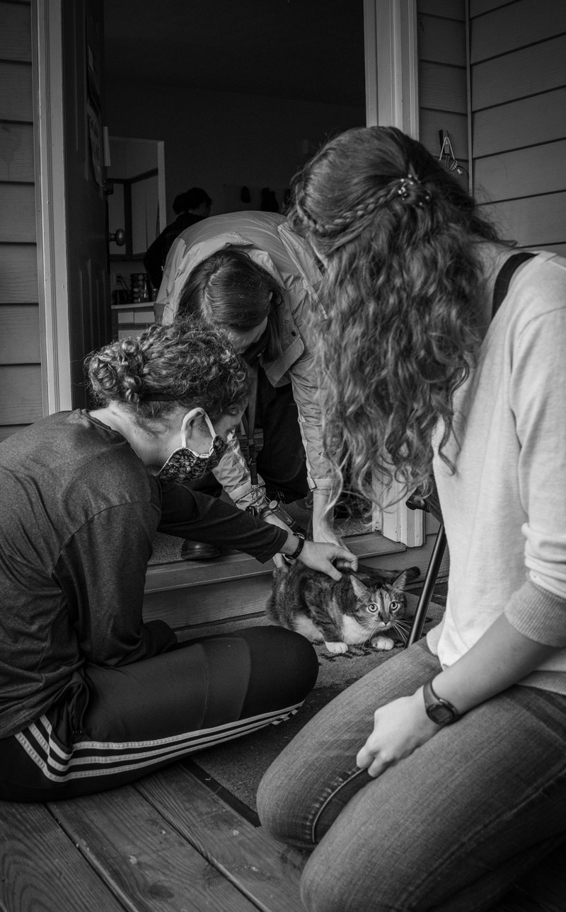 Andrea, Kate, and Laura (left to right) sit petting Clarence another building resident's cat.